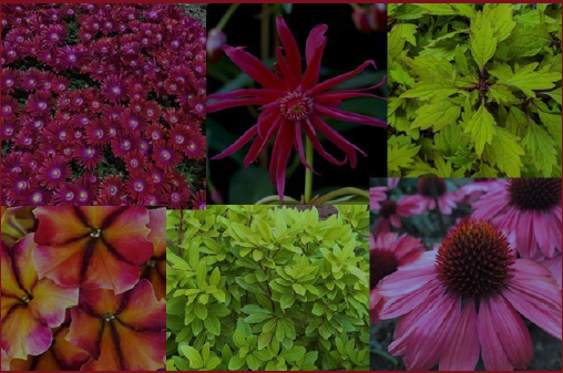 UT Gardens at Crossville sets online spring plant sale